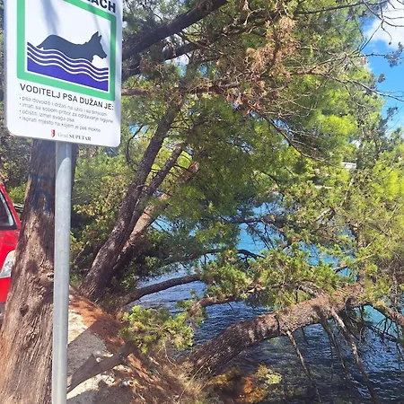Apartments With Parking Space Splitska - Brac - 2867