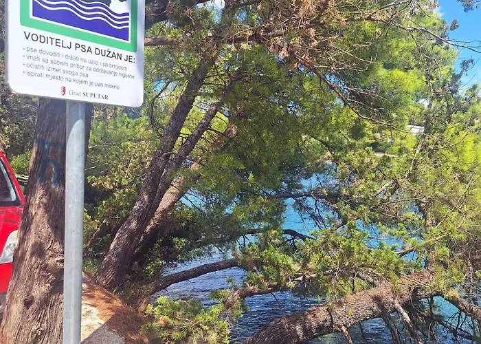 With Parking Space - Brac - 2867